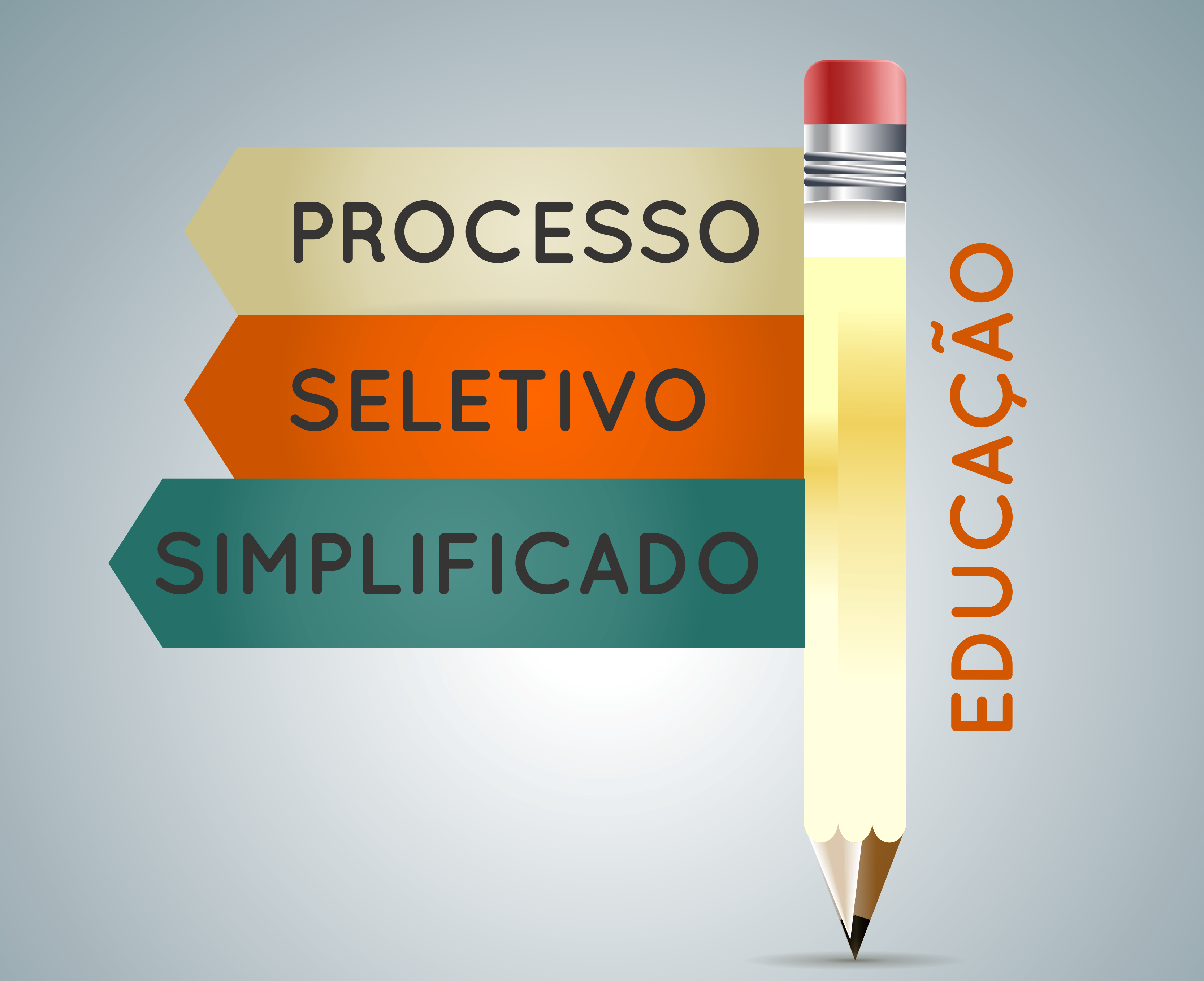 Resultado de imagem para processo seletivo simplificado